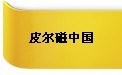 皮尔磁参展第13届华南地区工业控制自动化国际展览会